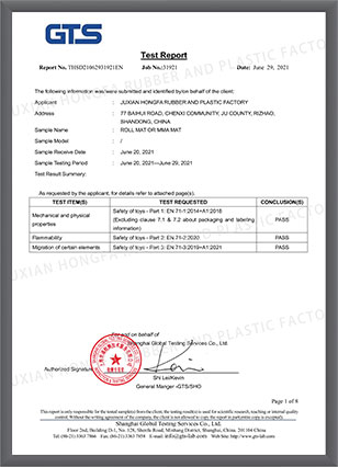 ROLL-OUT-MAT-CE-REPORT-2021