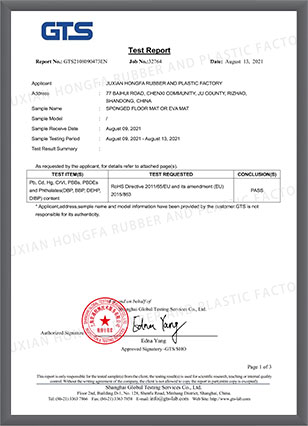 EVA MAT-2021-ROHS-REPORT